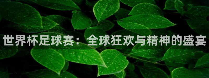 世界杯2026比赛时间表：世界杯足球赛：全球狂欢与精神的盛宴