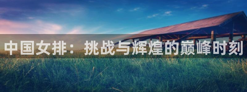 亚洲区世界杯预选赛：中国女排：挑战与辉煌的巅峰时刻