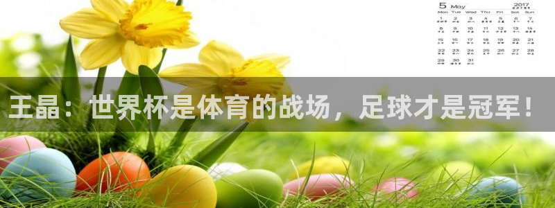 2026足球世界杯：王晶：世界杯是体育的战场，足球才是冠军！