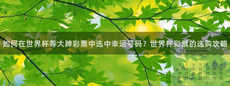 世界杯足球直播：如何在世界杯等大牌彩票中选中幸运号码？世界杯彩票的选购攻略