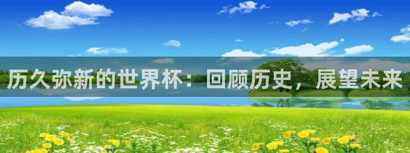 世界杯对阵表：历久弥新的世界杯：回顾历史，展望未来