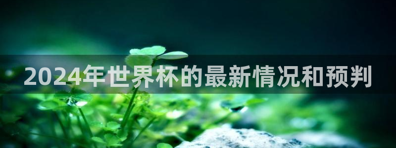 世界杯预选赛赛程表：2024年世界杯的最新情况和预判