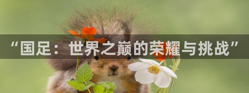世界杯亚洲区预选赛赛程表：“国足：世界之巅的荣耀与挑战”